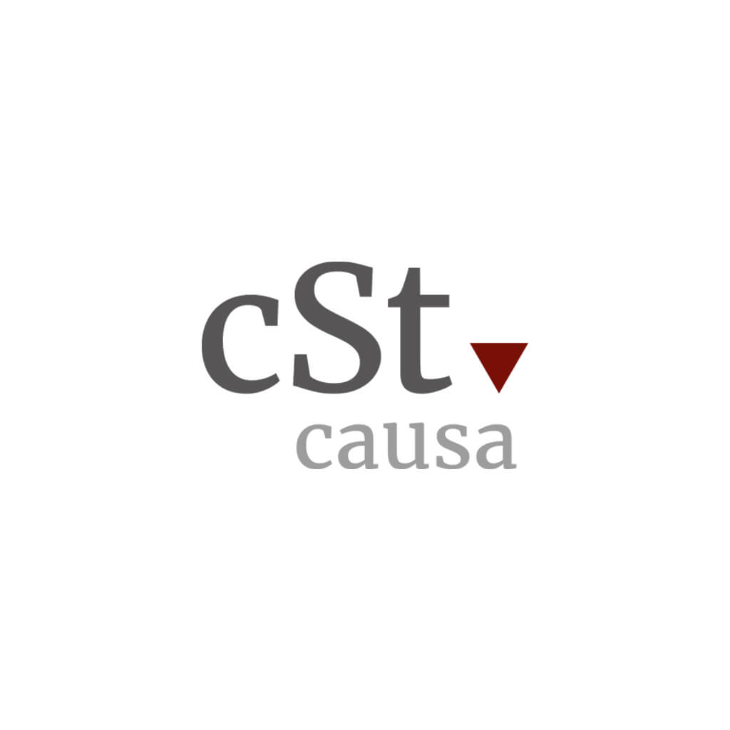 Projekt cSt causa - Steuerberatung